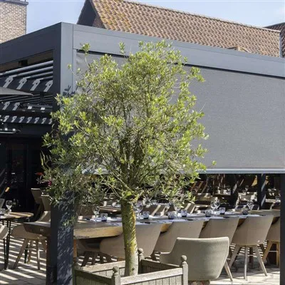 ছাদ সহ অ্যালুমিনিয়াম পারগোলা